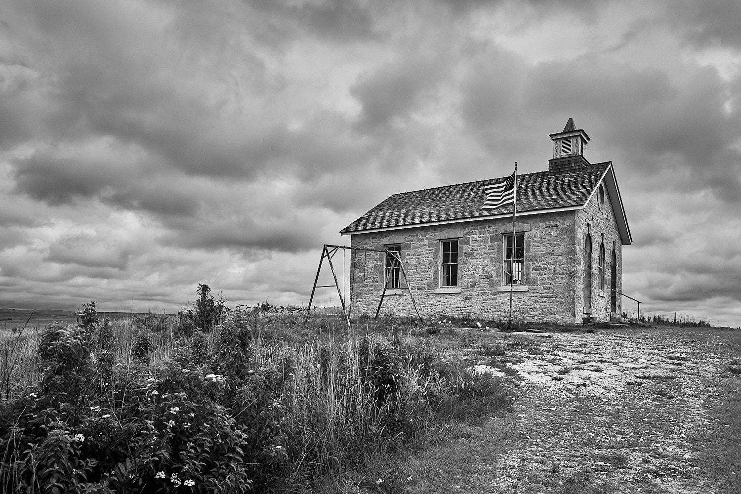 Bald Eagle perched on a muskrat mound as four swans fly away at sunset.